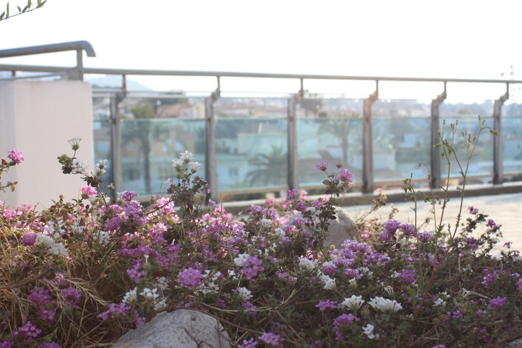 Hotel Rober Palas El Albir Dış mekan fotoğraf